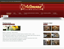 Tablet Screenshot of mimoza.com.pl